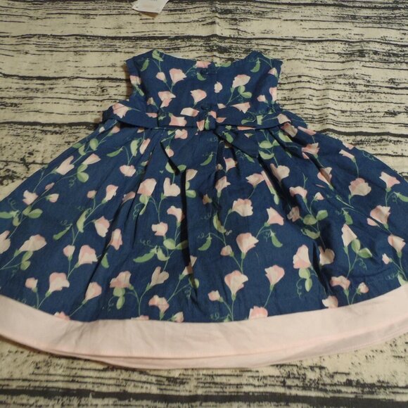 Gymboree Pretty Pea 3-6 Month Floral Blue Sleeveless Dress Pants Outfit NWT - Picture 2 of 2